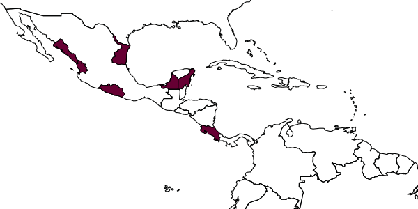 map of Cidaphus rostratus     Dasch, 1974